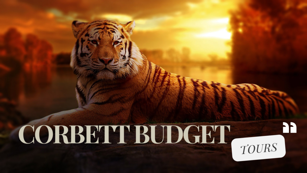 CORBETT BUDGET TOURS