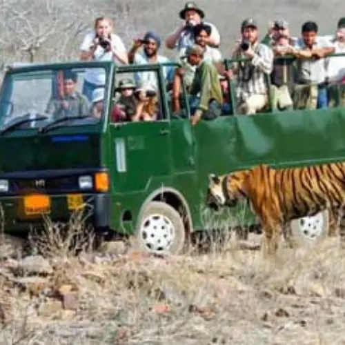 JIM CORBETT CANTER SAFARI BOOKING