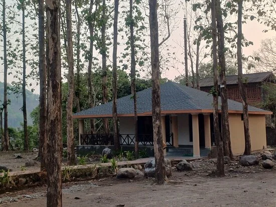 mohaan zone in jim corbett national park