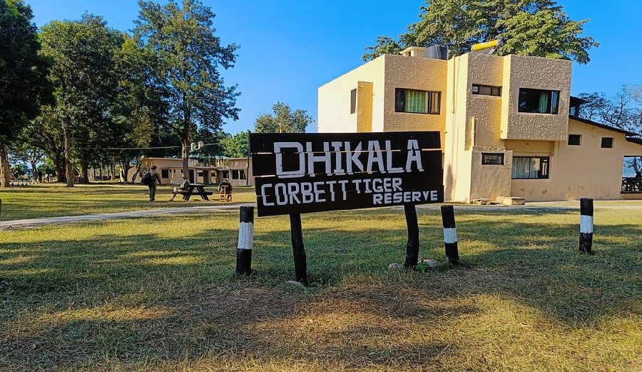 dhikala zone in jim corbett