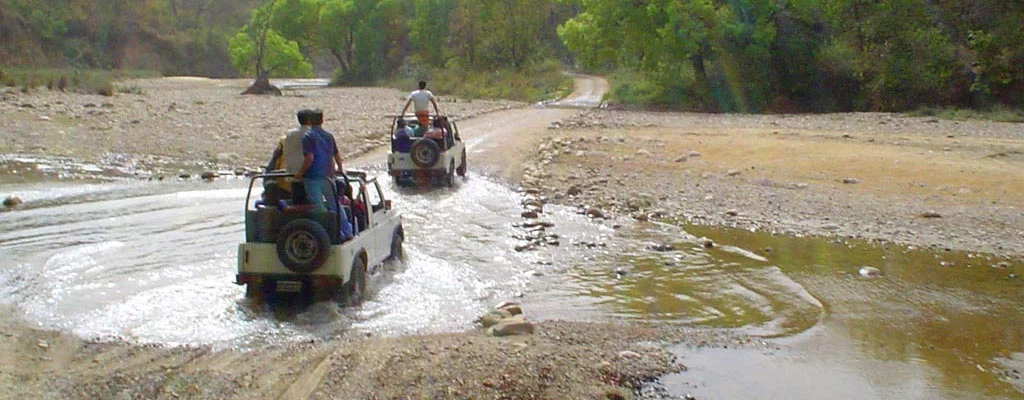Sita bani zone in jim corbett