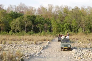 bijrani jeep safari