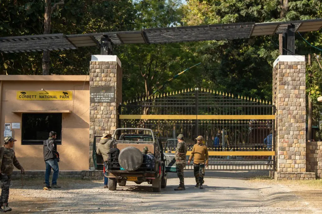 dhikala zone in jim corbett