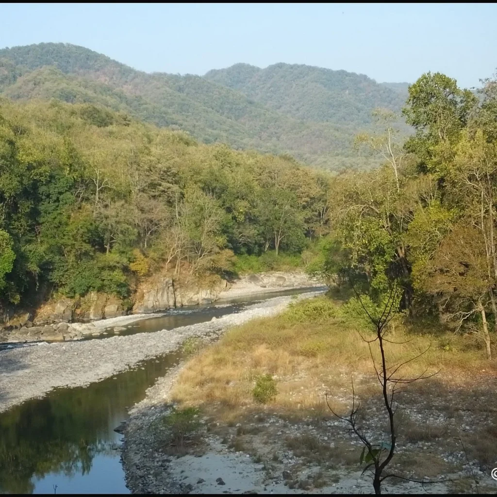 jim corbett national park