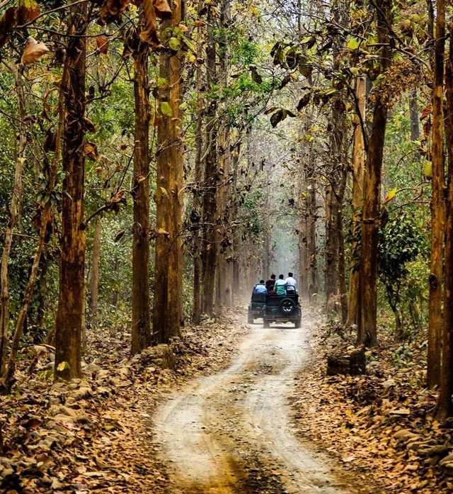 jim corbett national park