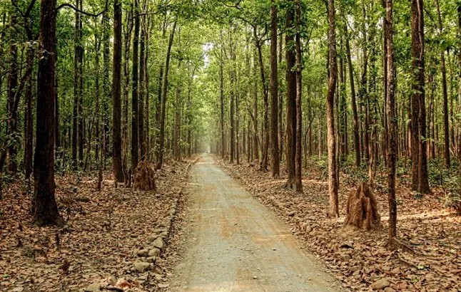 jim corbett national park