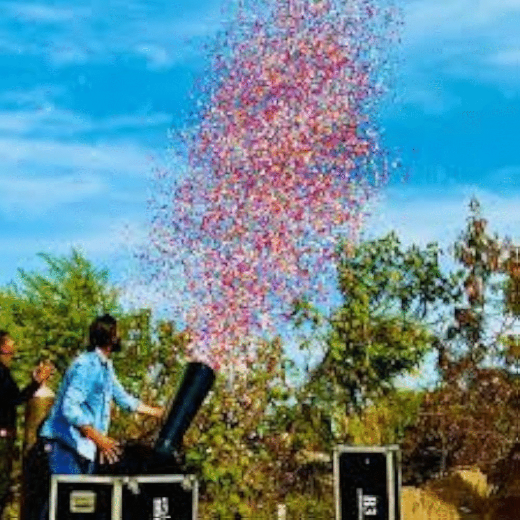 Confetti & Paper Blasters​ for wedding in jim corbett