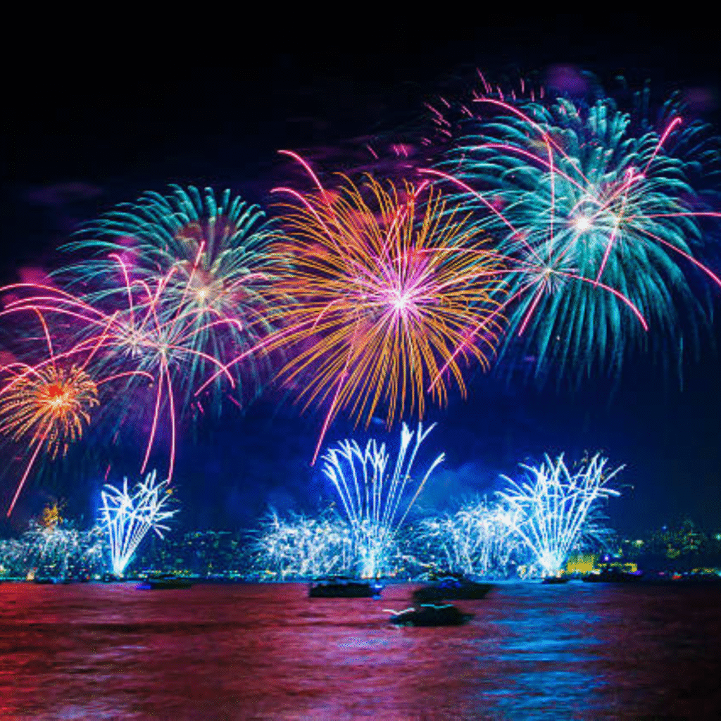 grand firework for wedding in jim corbett