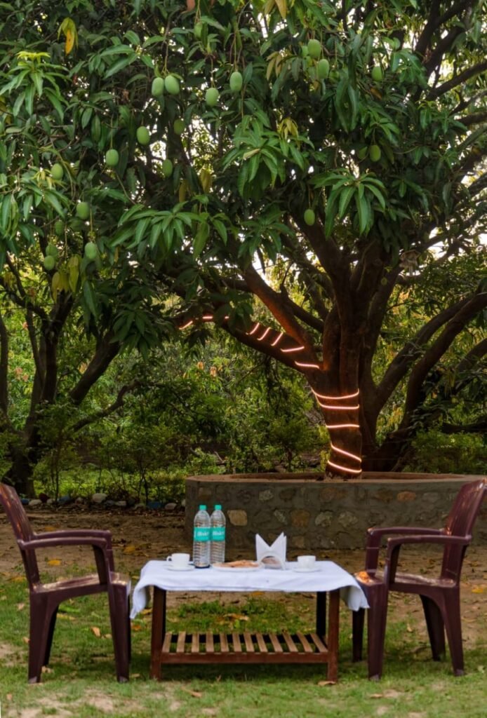 outdoor seeting in shekhar corbett resort by bigcat corbett